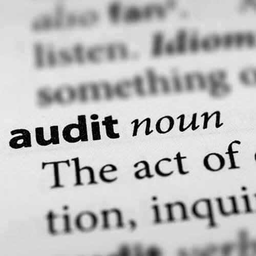 word audit described as noun