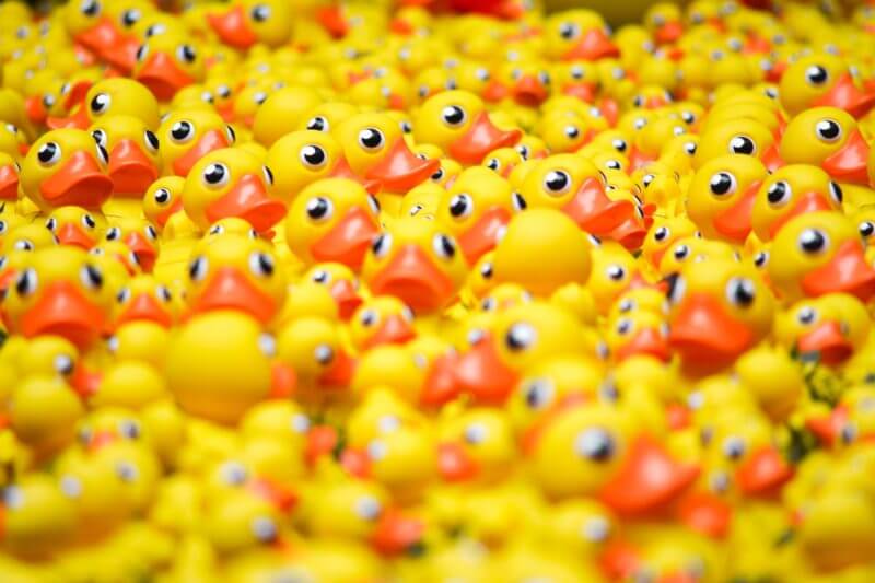 yellow rubber ducks