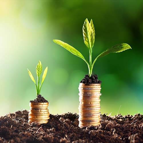 Stacks of coins in dirt with leaves on top